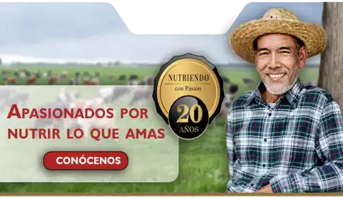 nutrimentos milenium franquicia