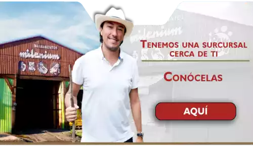 nutrimentos milenium sucursal