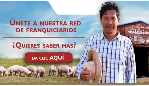 nutrimentos milenium franquicia