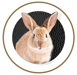 nutrimentos milenium conejo