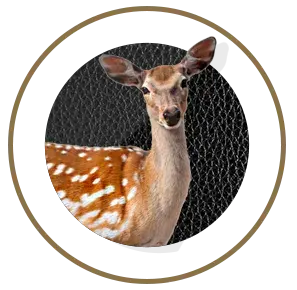 nutrimentos milenium ciervo