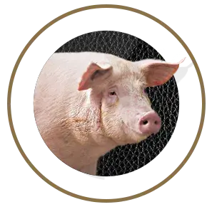 nutrimentos milenium cerdo