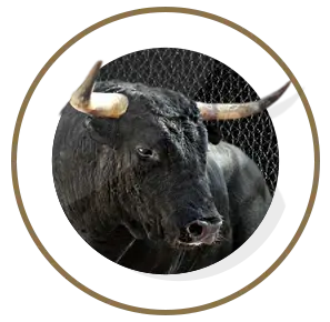 nutrimentos milenium toro