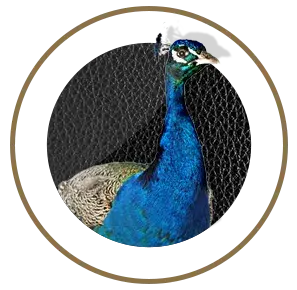 nutrimentos milenium pavo