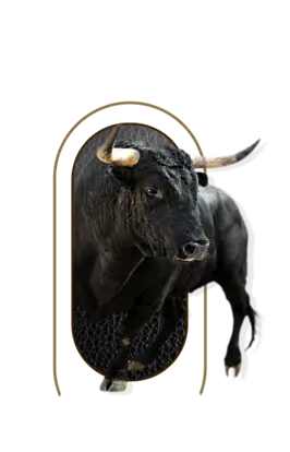 nutrimentos milenium producto bull