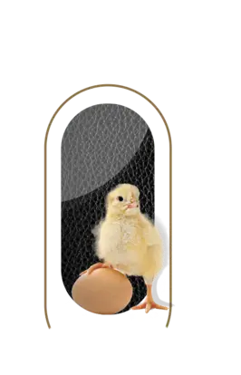 nutrimentos milenium producto chicken