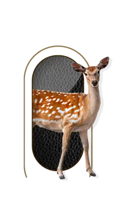 nutrimentos milenium producto deer