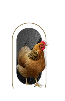 nutrimentos milenium producto hen