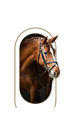 nutrimentos milenium producto horse