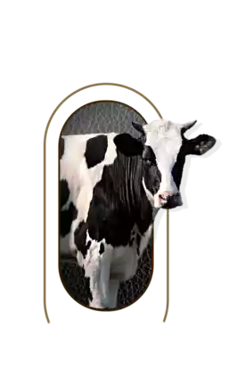 nutrimentos milenium producto milk