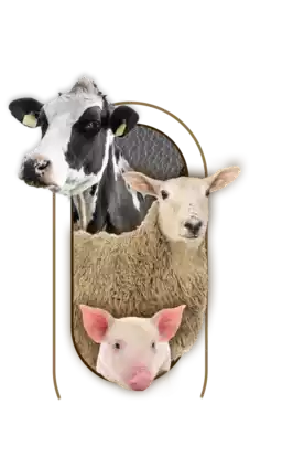 nutrimentos milenium producto nucleos