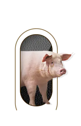 nutrimentos milenium producto pork