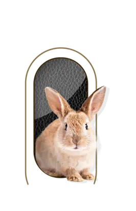 nutrimentos milenium producto rabbit