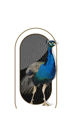 nutrimentos milenium producto turkey